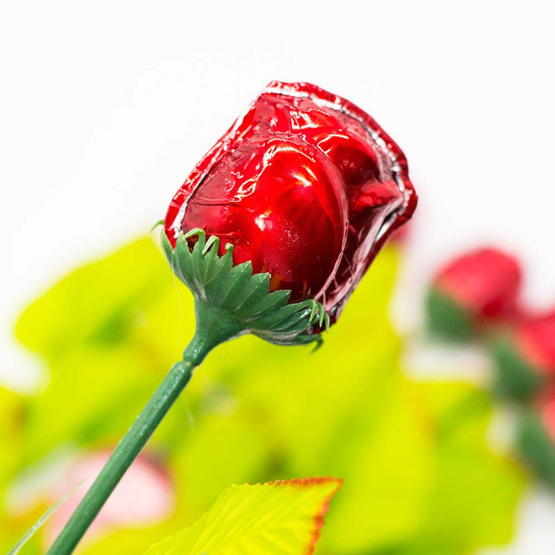 Milk Chocolate Long Stem Roses